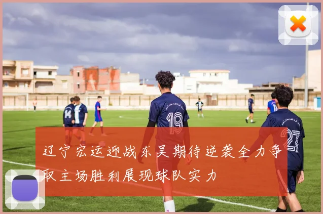 辽宁宏运迎战东吴期待逆袭全力争取主场胜利展现球队实力