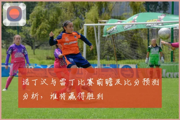 诺丁汉与雷丁比赛前瞻及比分预测分析，谁将赢得胜利